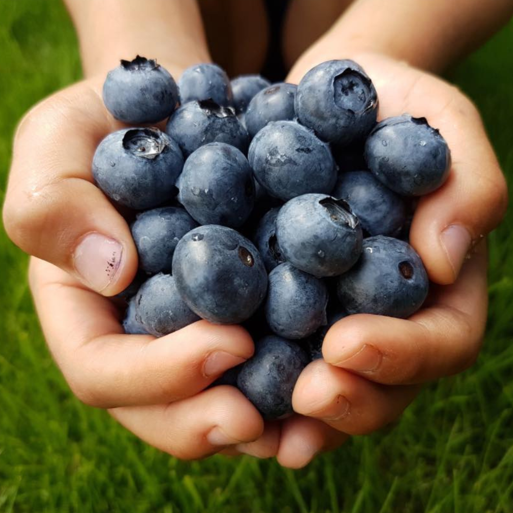 Hydrogenvand | En effektiv antioxidant